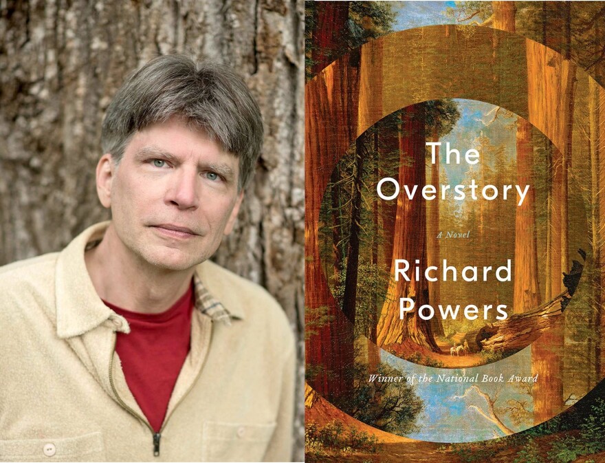 The Overstory
